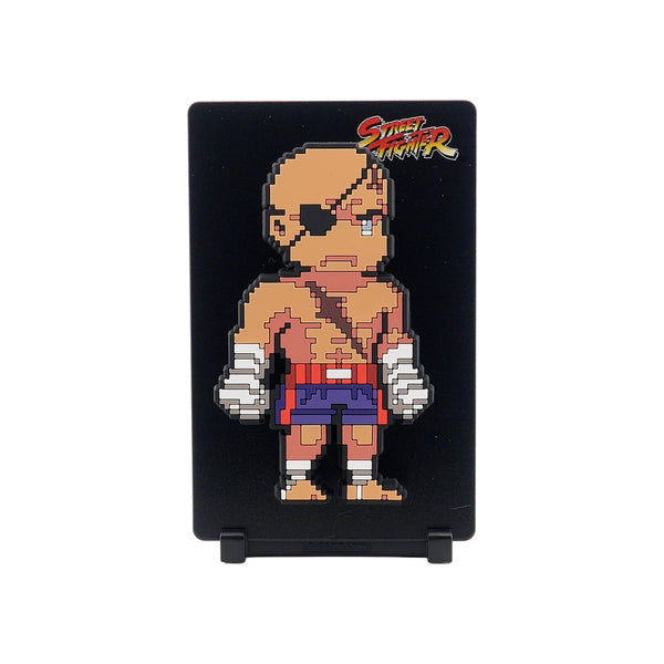 Sagat #206