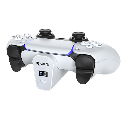 External Controller Battery