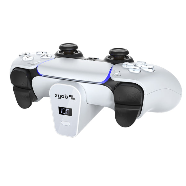 External Controller Battery