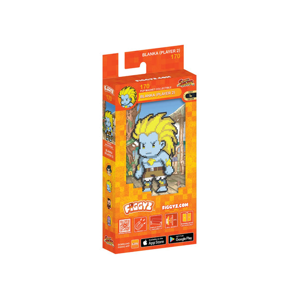 Blanka(Player 2) #170