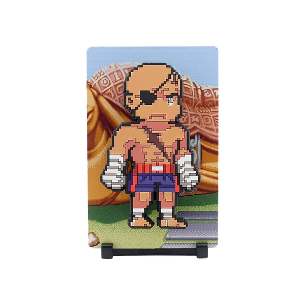 Sagat #206
