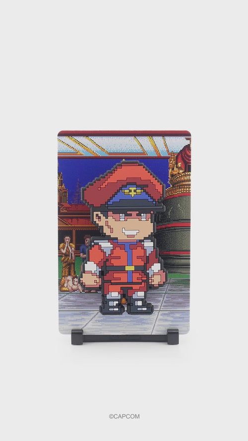 M.Bison #205