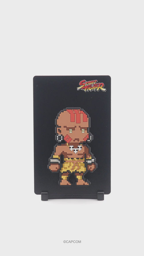 Dhalsim #160