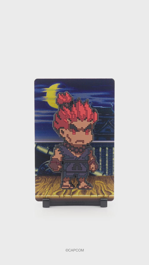Akuma #208