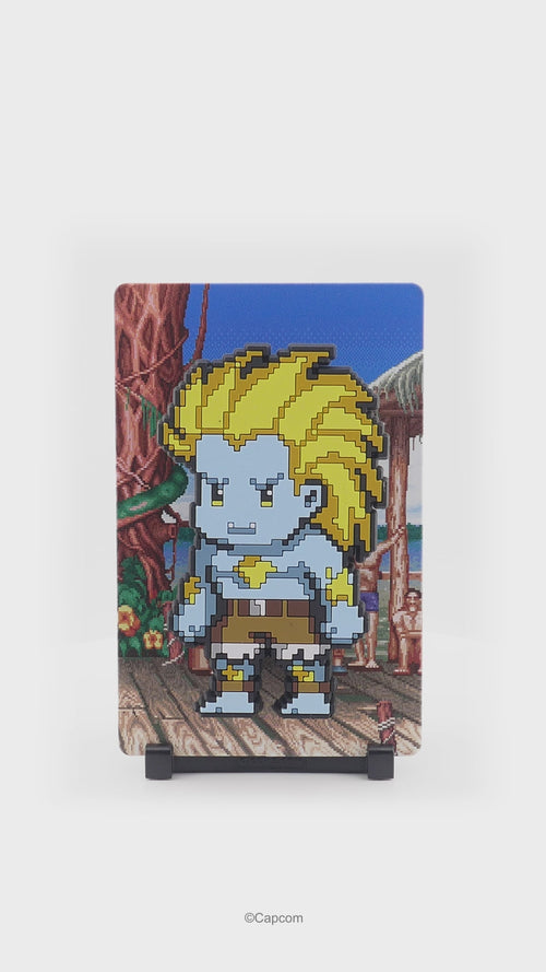 Blanka(Player 2) #170