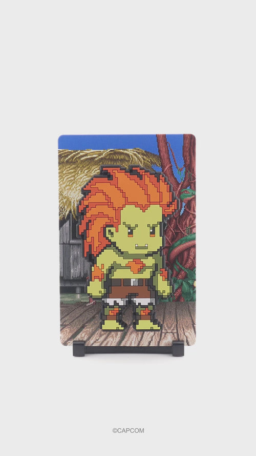 Blanka #158