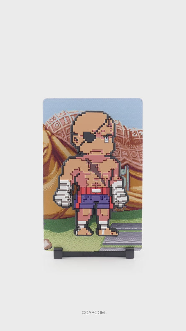 Sagat #206